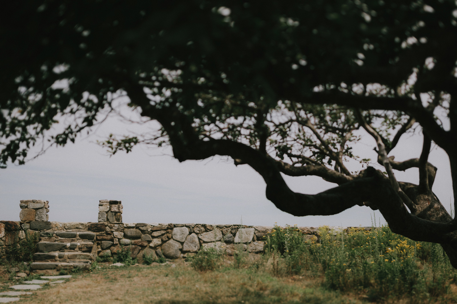 rye-wedding-photographer