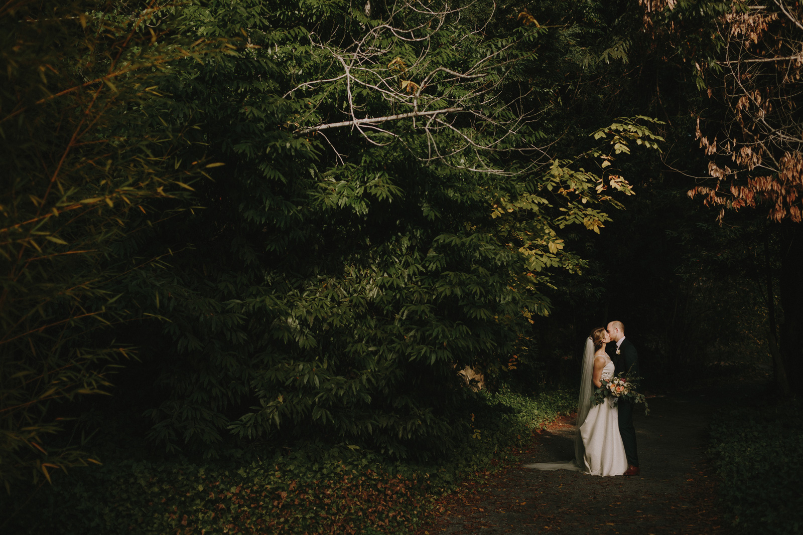 wedding-portrait-woods