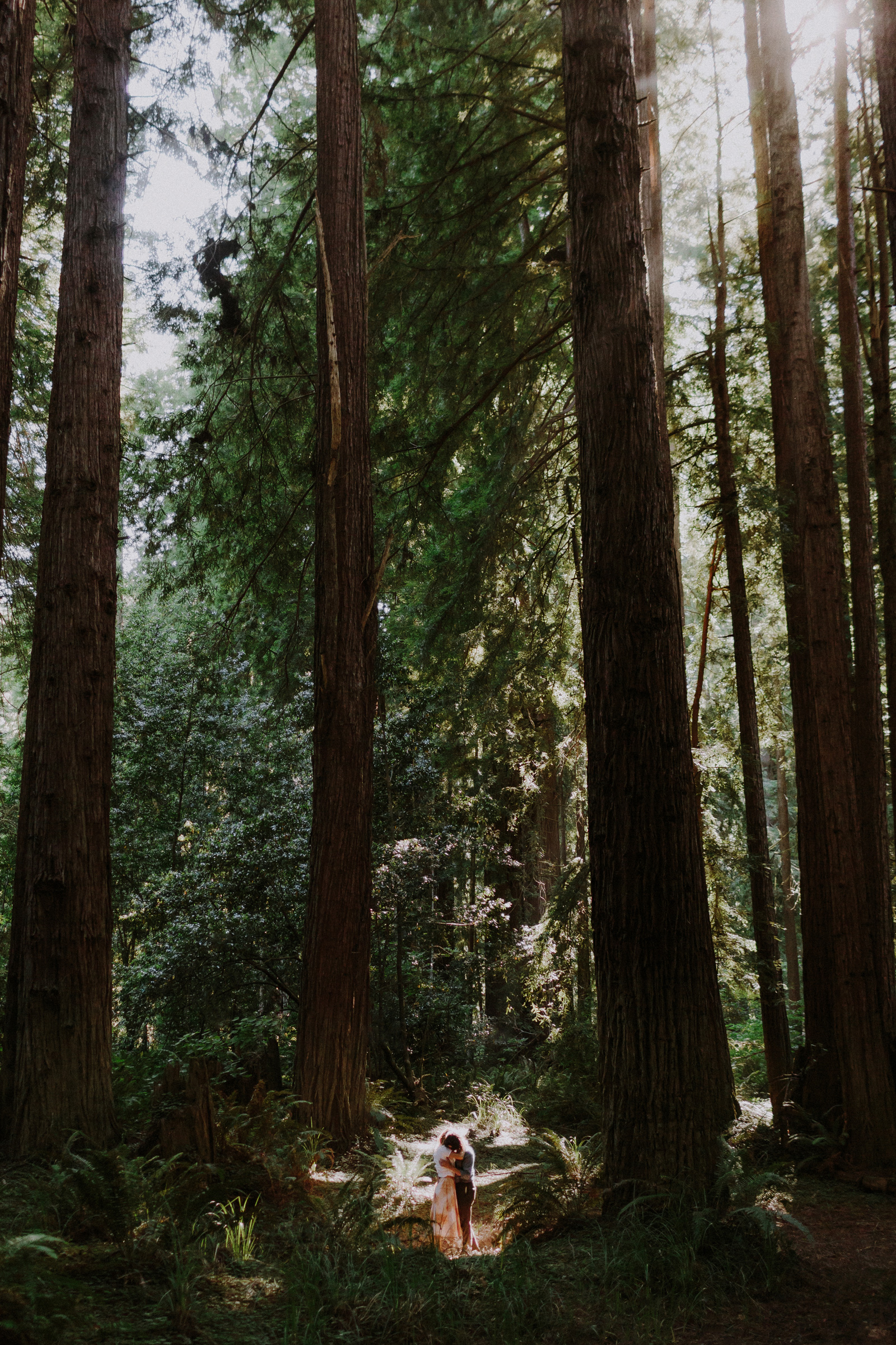 forest-portrait-session