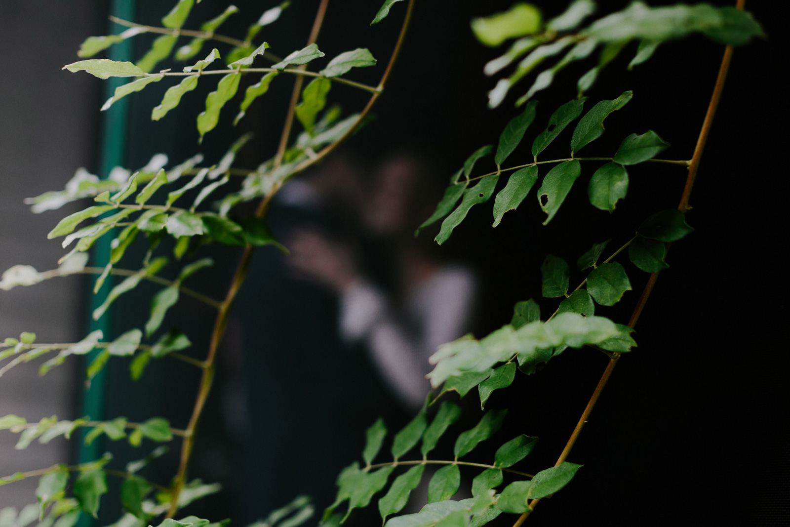 vermont-wedding-portraits