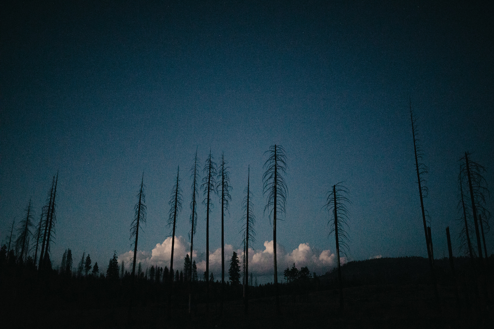 yosemite-wedding-photographer