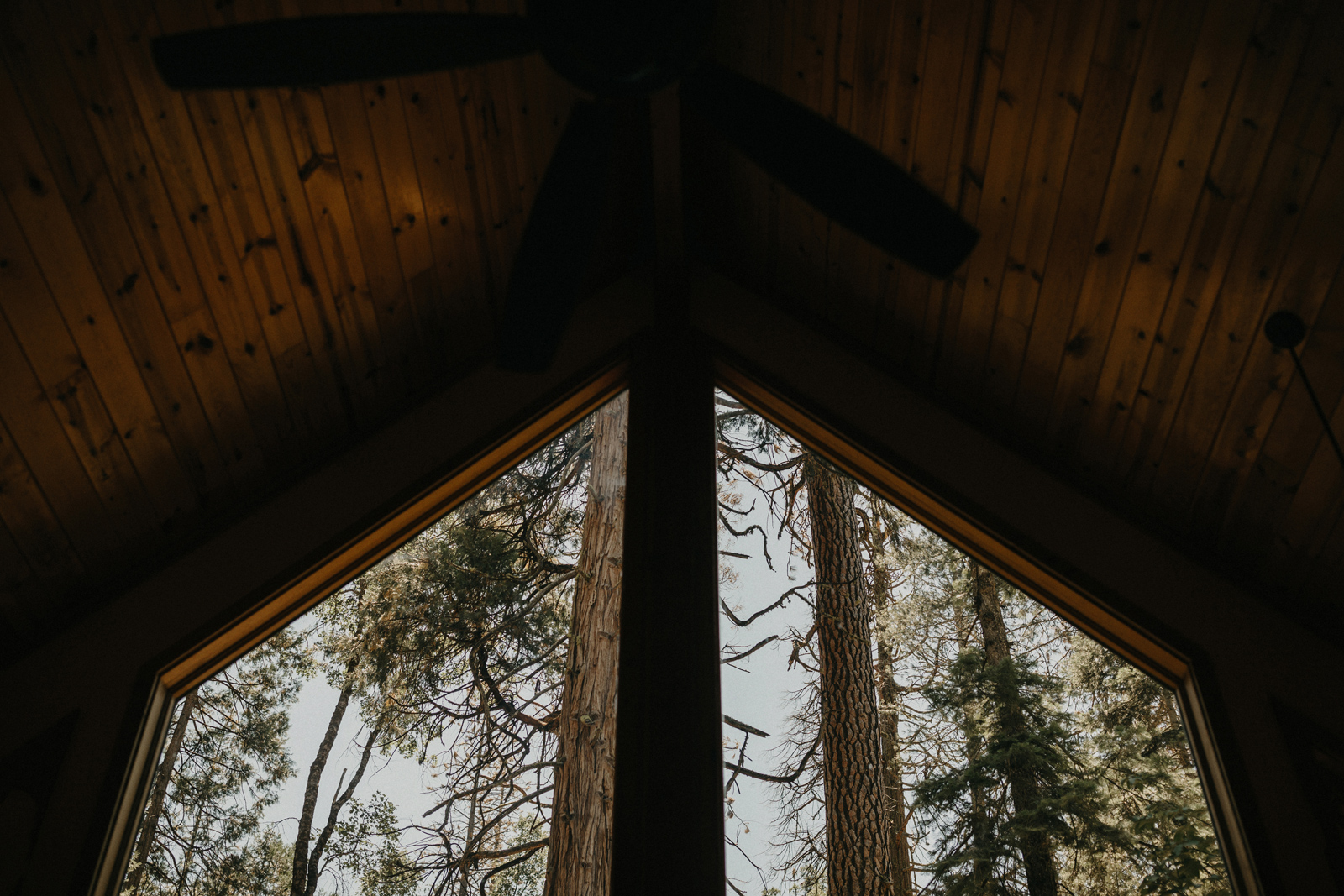 yosemite-wedding-photographer