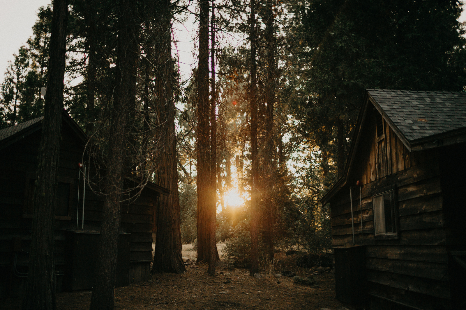 yosemite-wedding-photographer