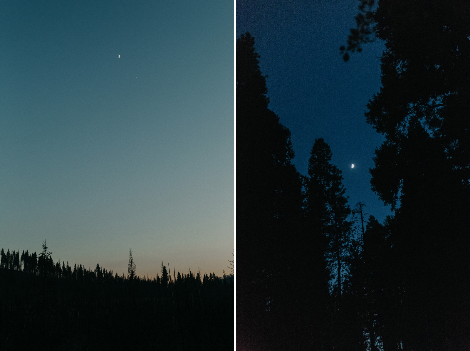 yosemite-wedding-photographer