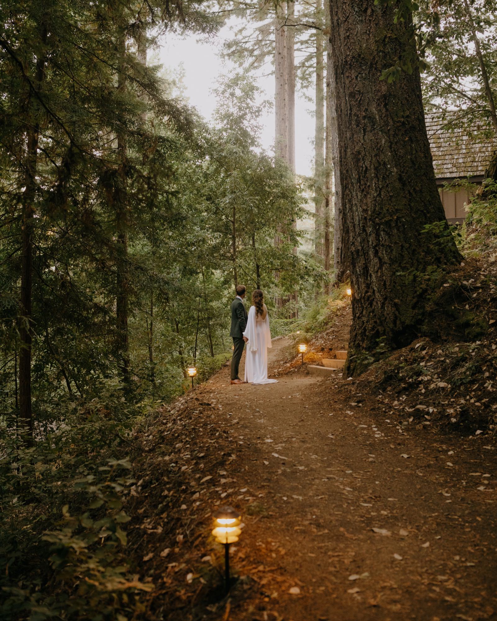 095_E&J 04429_the-waterfall-lodge_forest_wedding_ben-lomond_intimate